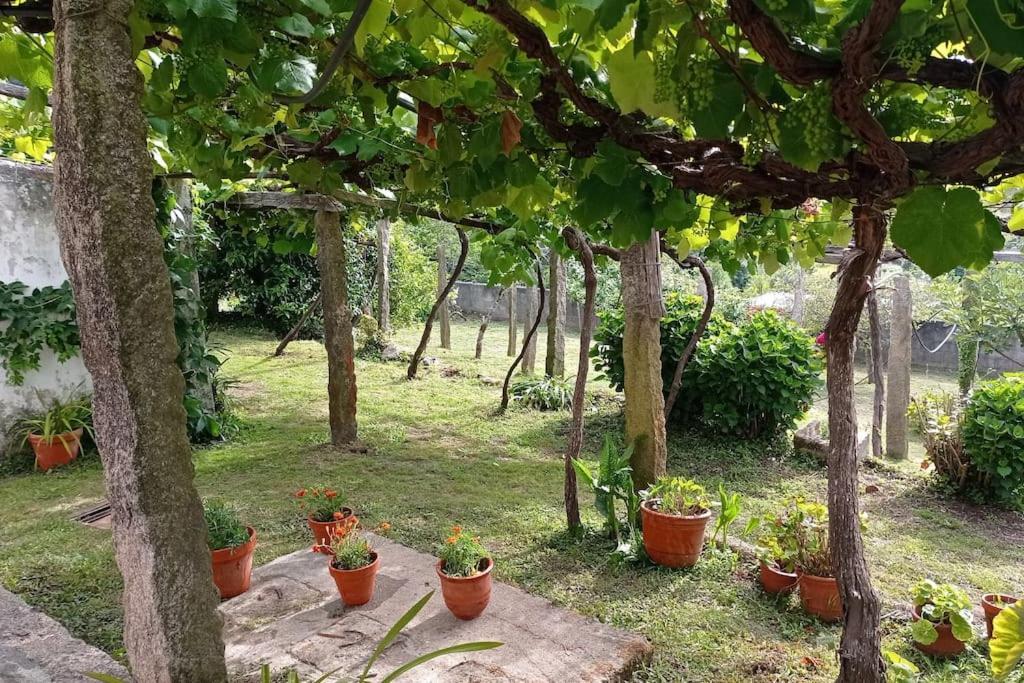 Villa A Barraca. Casa Con Jardin Y Vistas A La Ria Bueu Exterior foto
